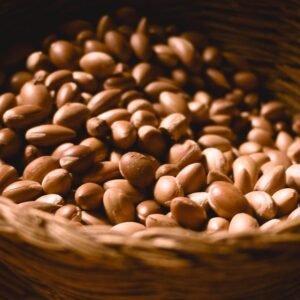 Graines d'argan  حبة الأركان