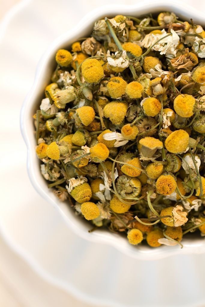 Camomille البابونج