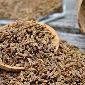 Carvis  الكروية