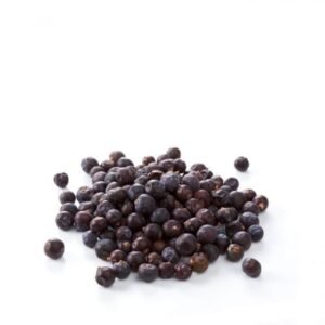 Genévrier  العرعر