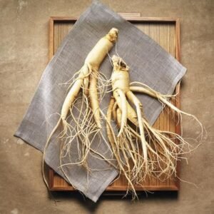 Ginseng  الجنسنغ