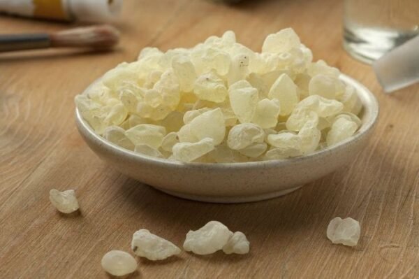 Gomme saharienne naturelle (mastic en morceaux)