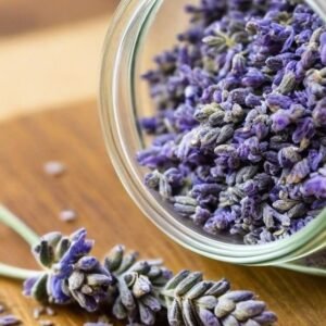 Lavande  الخزامى